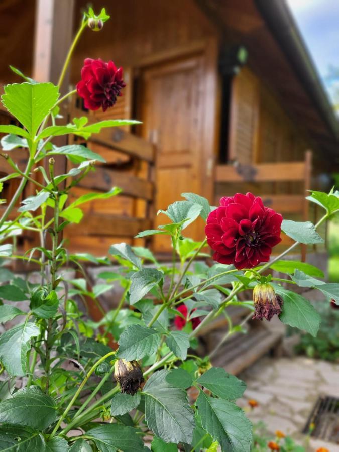 Rest House Ripac Prascijak Ngoại thất bức ảnh